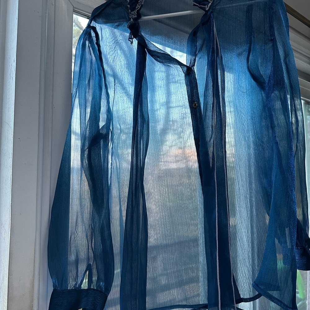 Sheer Blue Blouse